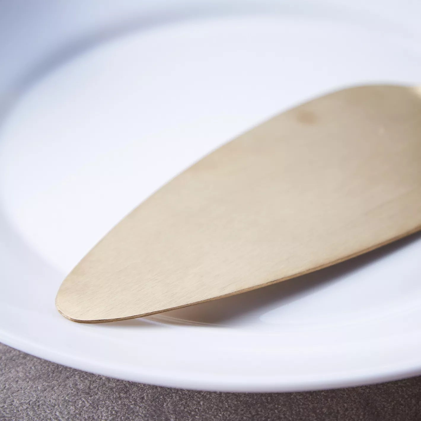 Gilded Slice - Matte Gold Cake Server