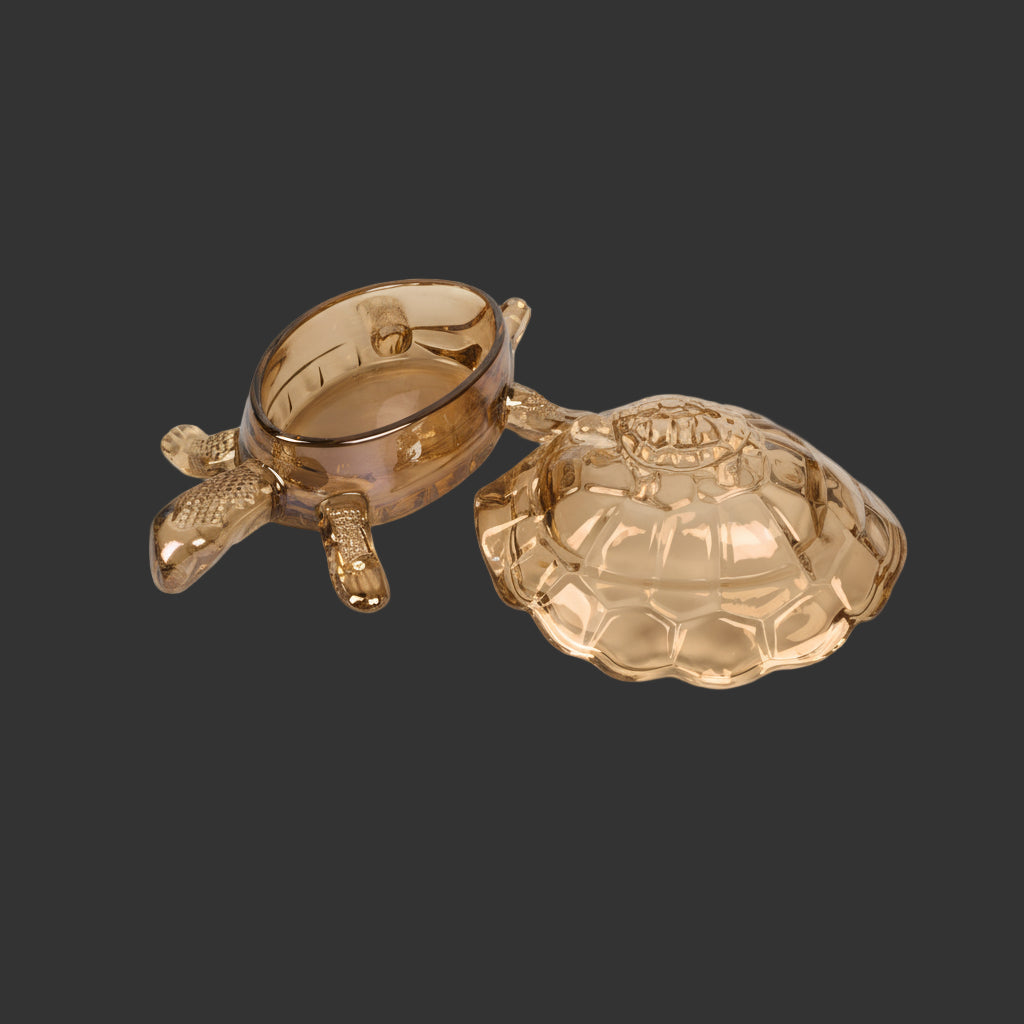 Two clear glass turtle-shaped bowls on a white background