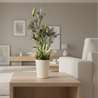 Potted plant on a wooden table in a living room setting