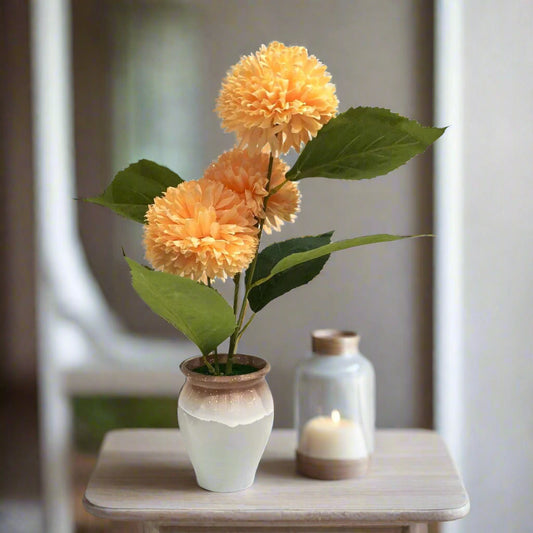 Potted plant with orange flowers and green leaves on a white background