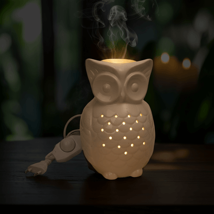 Owl-shaped diffuser emitting steam on a dark background