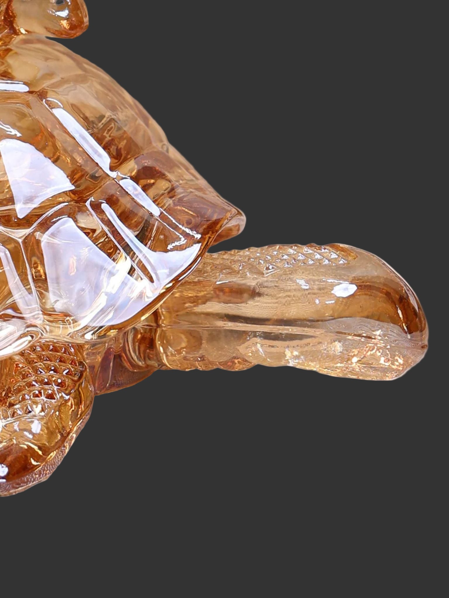 Glass turtle figurine on a textured surface with 'COCO' branding in the background.